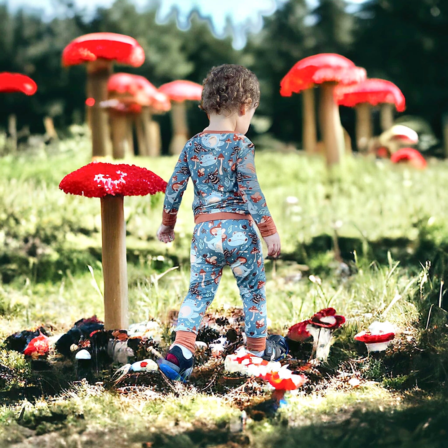 Toadstools Two Piece Set